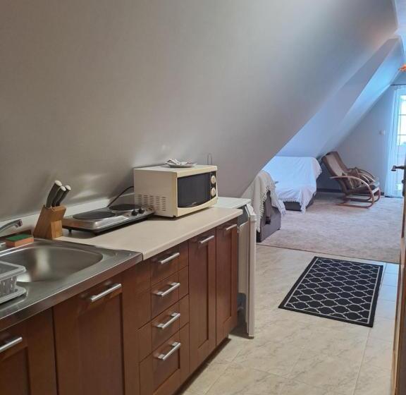 ホテル Willa Wisienka