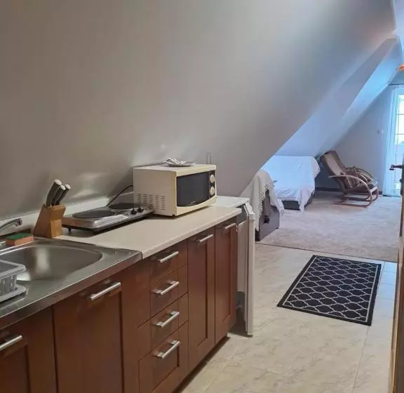 ホテル Willa Wisienka