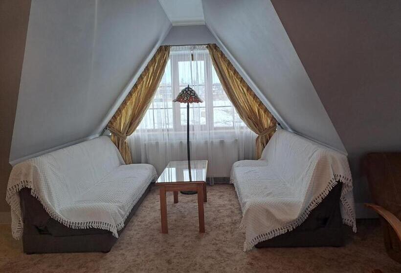 ホテル Willa Wisienka