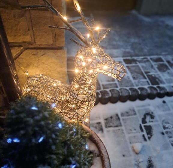 ホテル Willa Wisienka