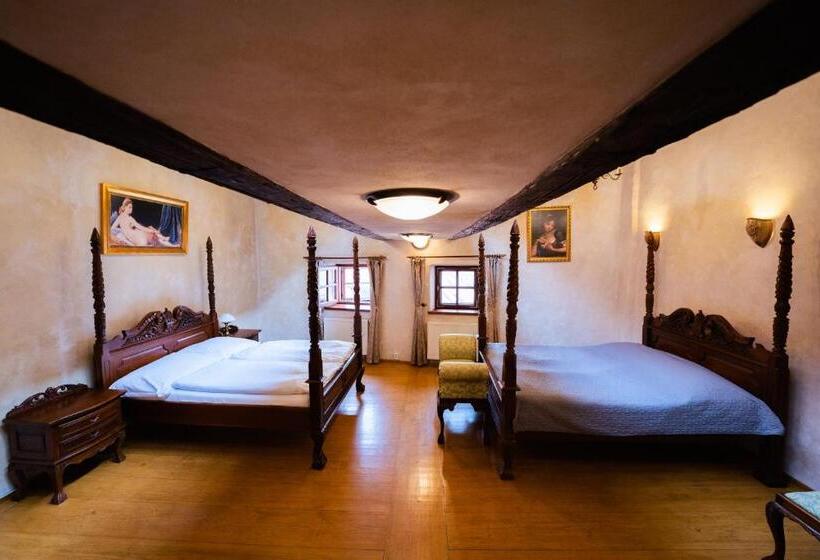 펜션 Penzion Baroko