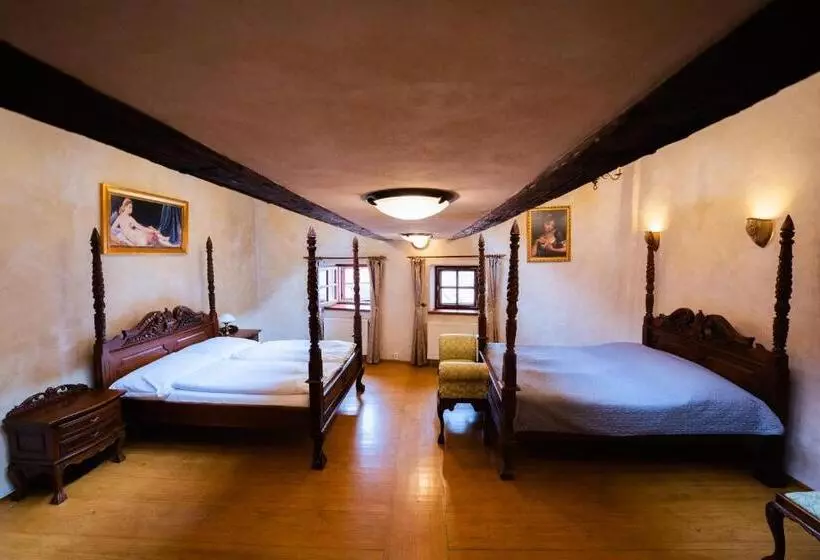 ペンション Penzion Baroko