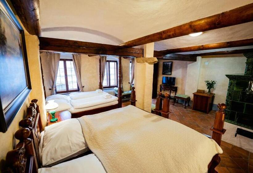 펜션 Penzion Baroko