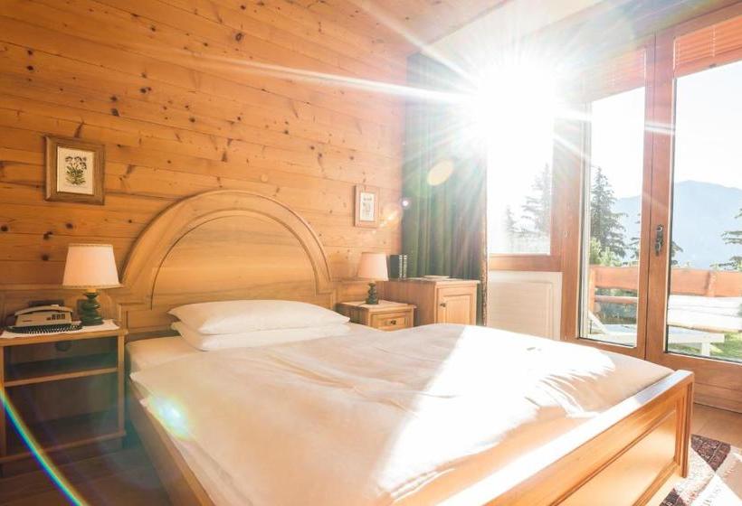 Swiss Chalet-style Hotel Walliser Spycher