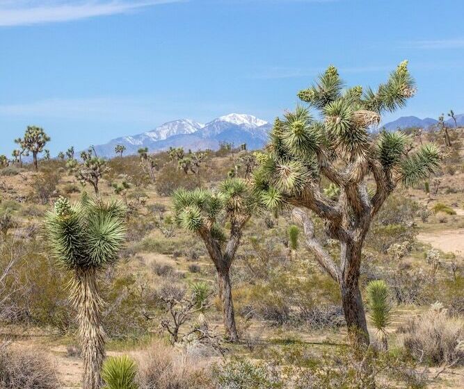 Hotell The Bungalows By Homestead Modern At The Joshua Tree Retreat Center