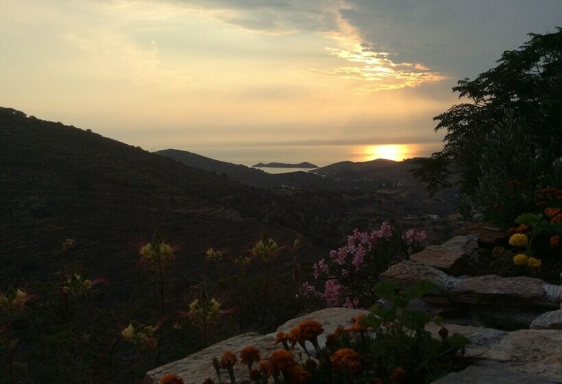 Not Traditional Original The Blue Cottage