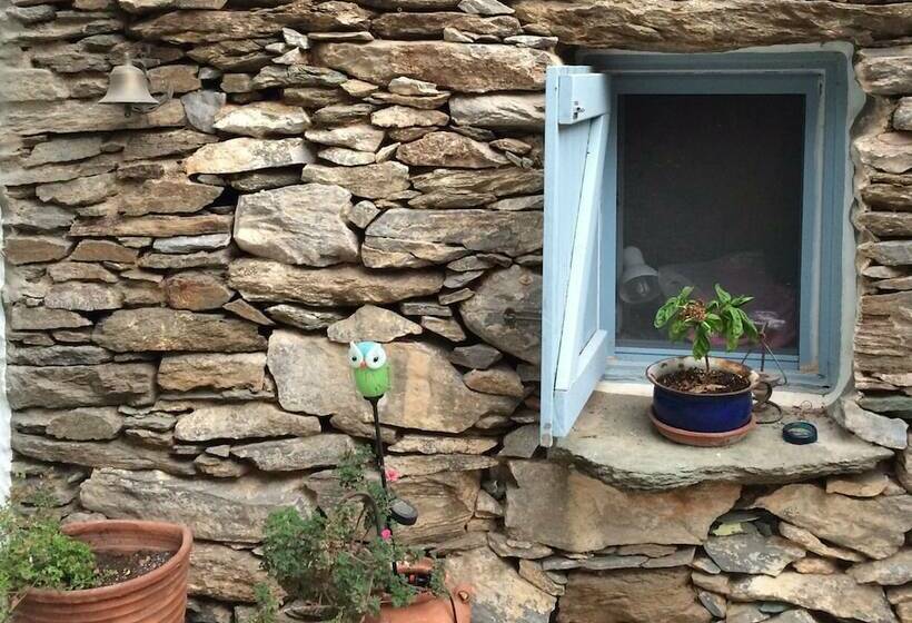 Not Traditional Original The Blue Cottage