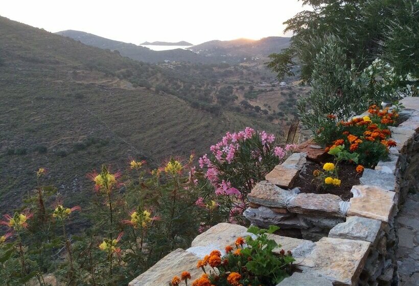 Not Traditional Original The Blue Cottage