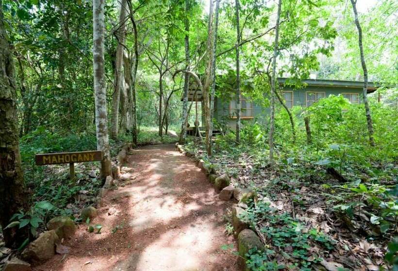 هتل Budongo Eco Lodge