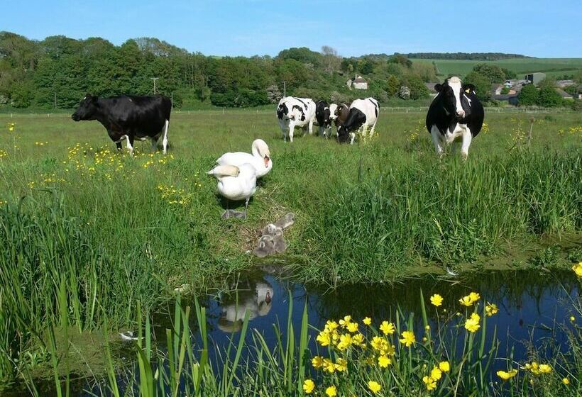 Lovely Hillside Cabin In The Heart Of The Cuckmere
