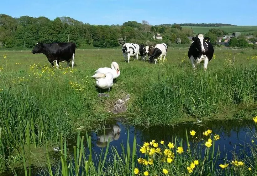 Lovely Hillside Cabin In The Heart Of The Cuckmere