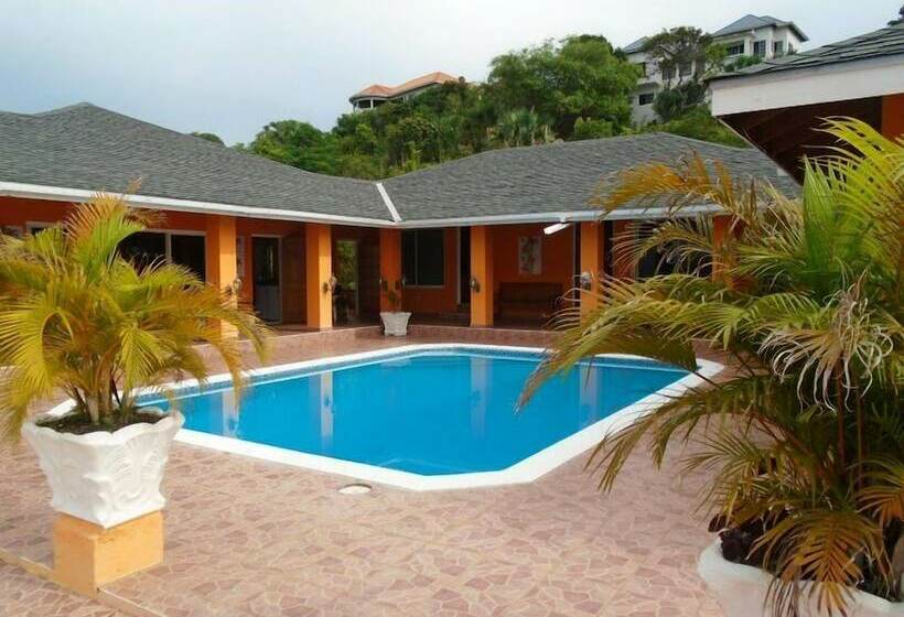 پانسیون Palm Tree Villas