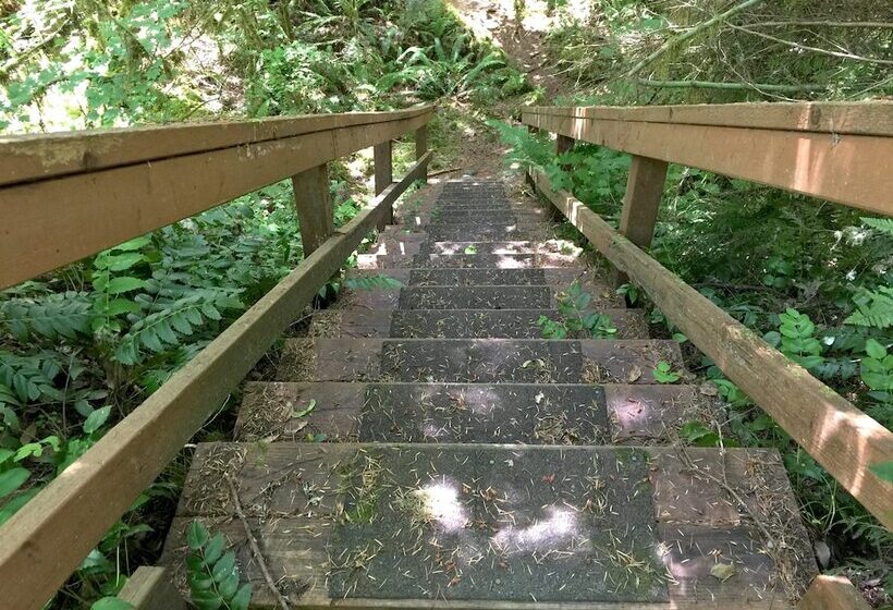 32mbr   Bbq   Pets Ok   Wood Stove   Sleeps 7