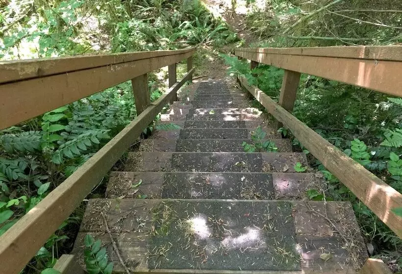 32mbr   Bbq   Pets Ok   Wood Stove   Sleeps 7