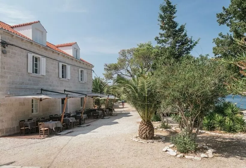 Aamiaismajoitus (B&B) Vrnik Arts Club