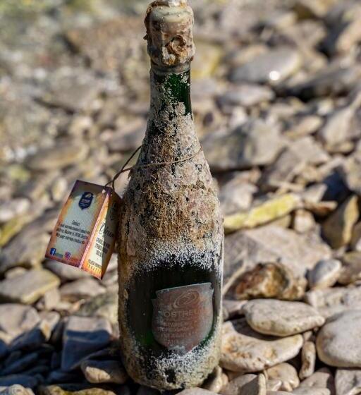 مبيت وإفطار Vrnik Arts Club