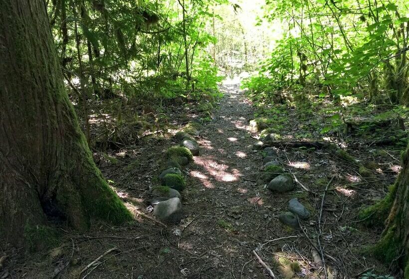 32mbr   Bbq   Pets Ok   Wood Stove   Sleeps 7