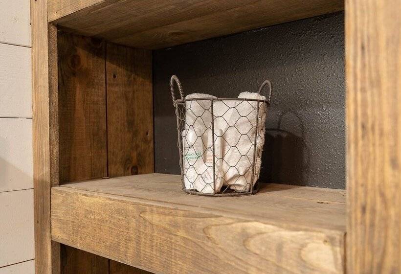 بنسيون Studied Perfection