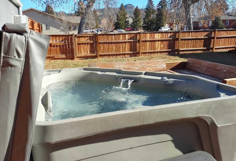 بنسيون Studied Perfection