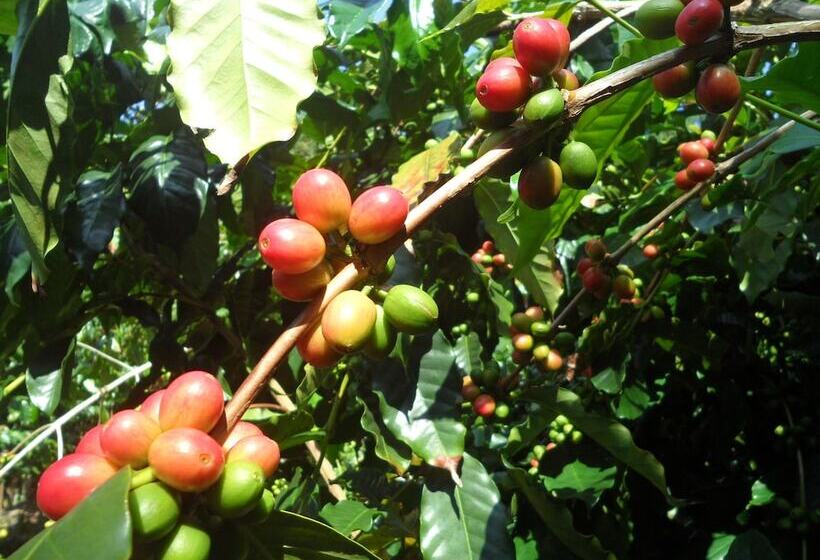 A Beautiful Edge Of The World Bed & Breakfast