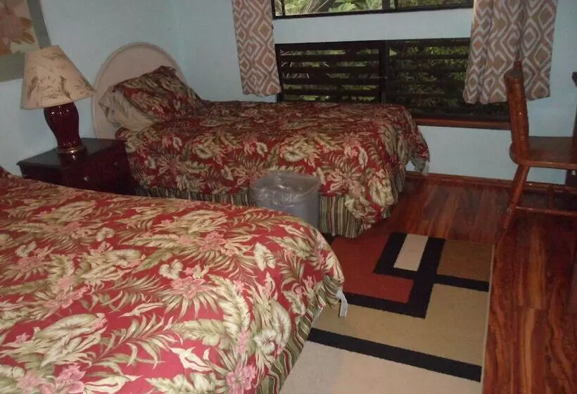 A Beautiful Edge Of The World Bed & Breakfast