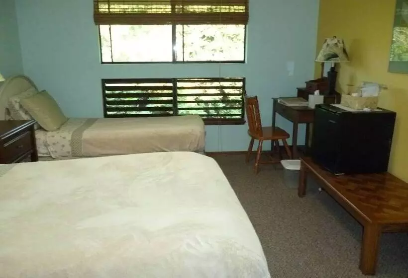 A Beautiful Edge Of The World Bed & Breakfast