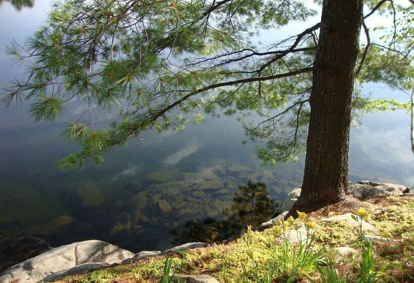 مبيت وإفطار Gite Du Grand Peintre Gordon Harrison