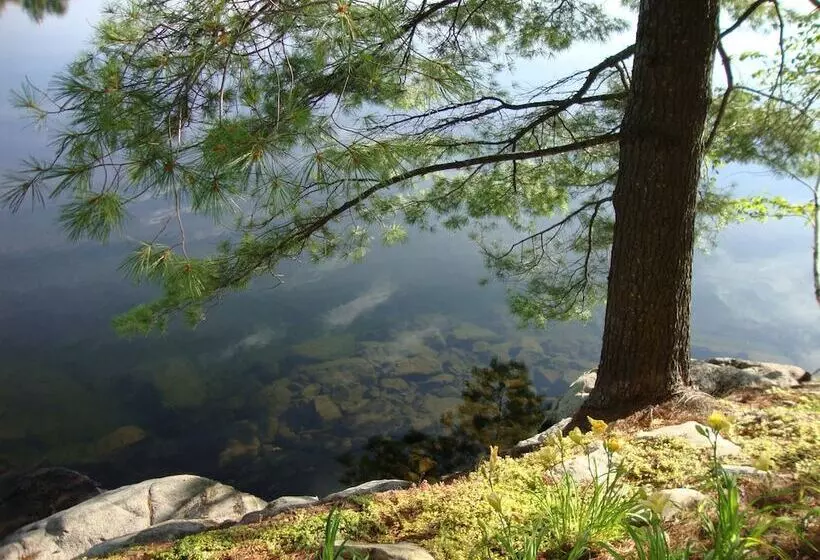 Aamiaismajoitus (B&B) Gite Du Grand Peintre Gordon Harrison