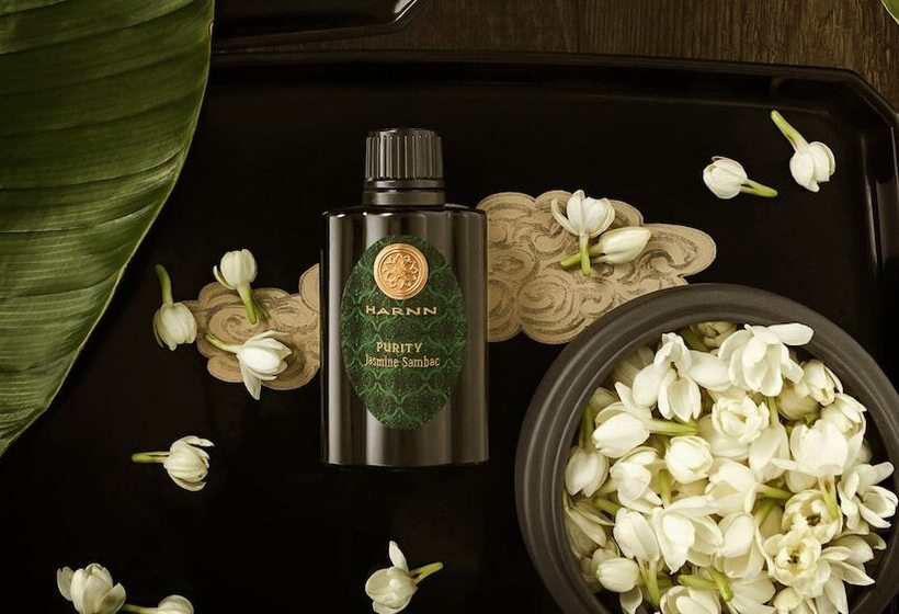 Отель Ana Intercontinental Appi Kogen Resort, An Ihg