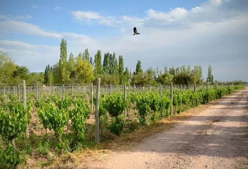 Hotel Glamping Meraki