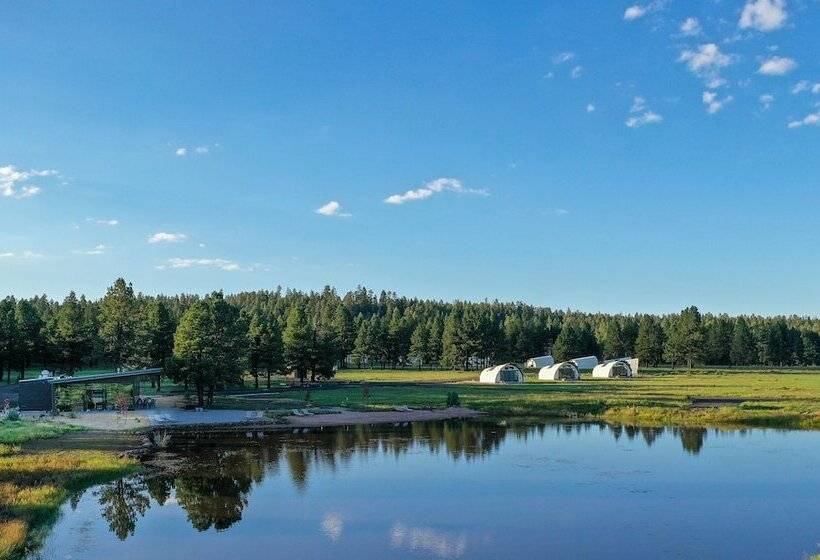 乡村酒店 Backland