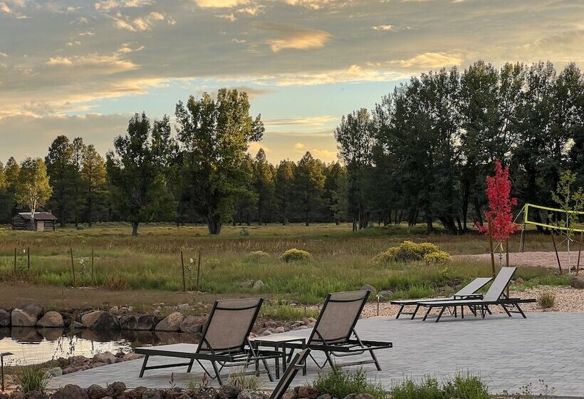 乡村酒店 Backland