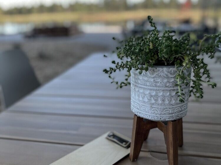 乡村酒店 Backland