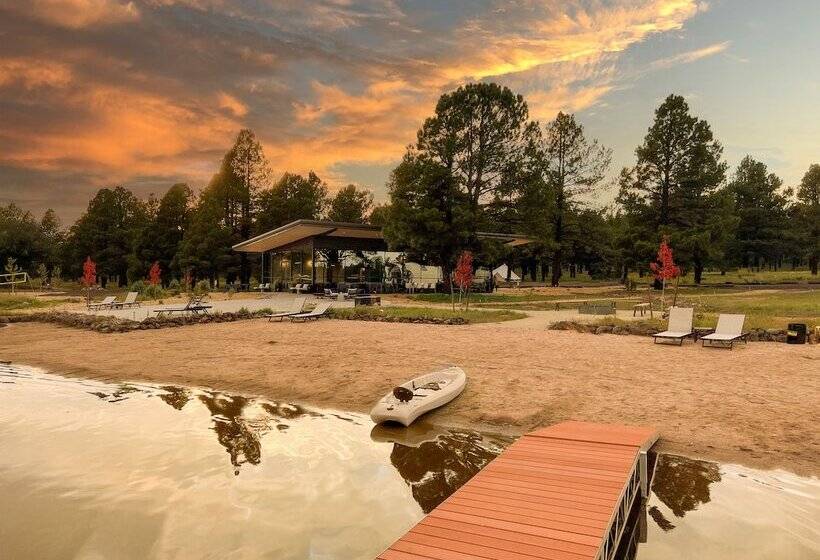 乡村酒店 Backland