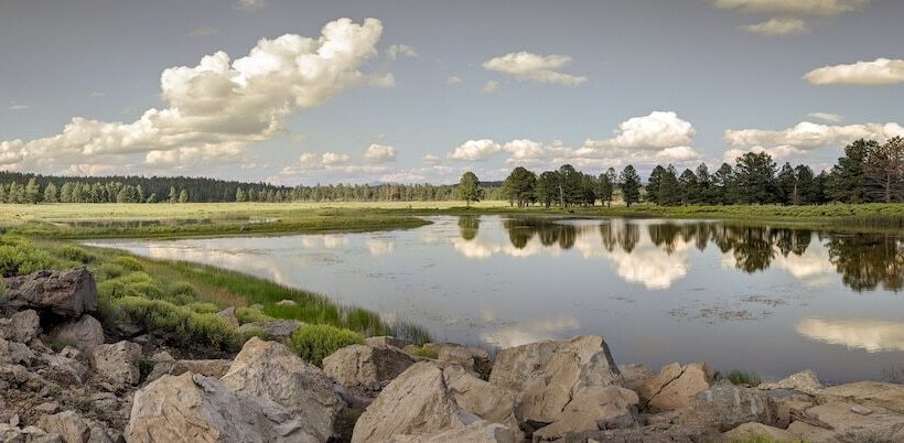 乡村酒店 Backland