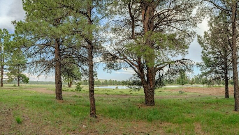 乡村酒店 Backland