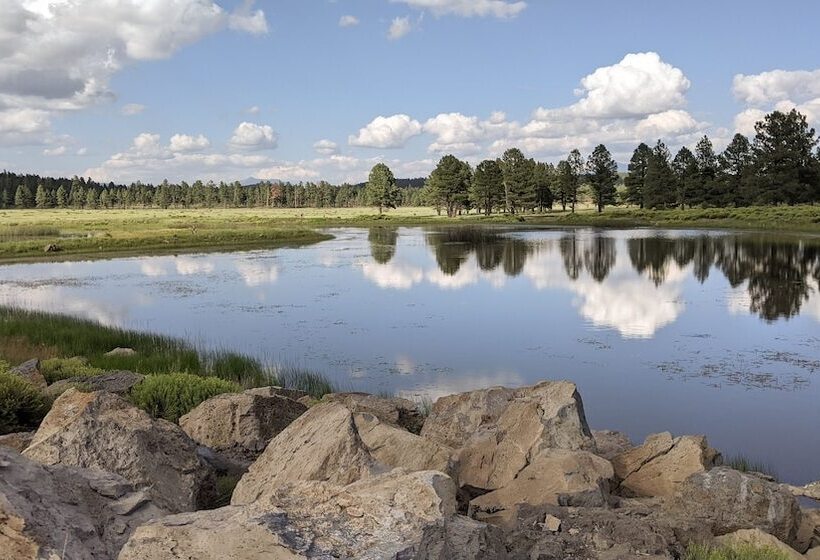 乡村酒店 Backland