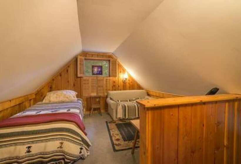 3rd Ave Criterion 26 Owl S Peak