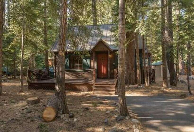 3rd Ave Criterion 26 Owl S Peak