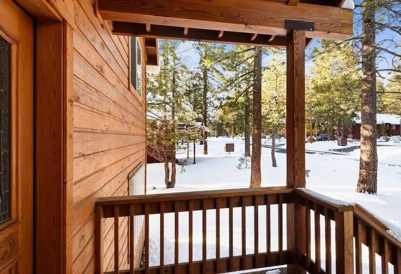 Quaking Cabin Gas Bbq & Amenities Access!