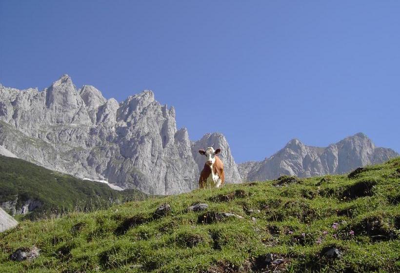 Alpenappartement Europa