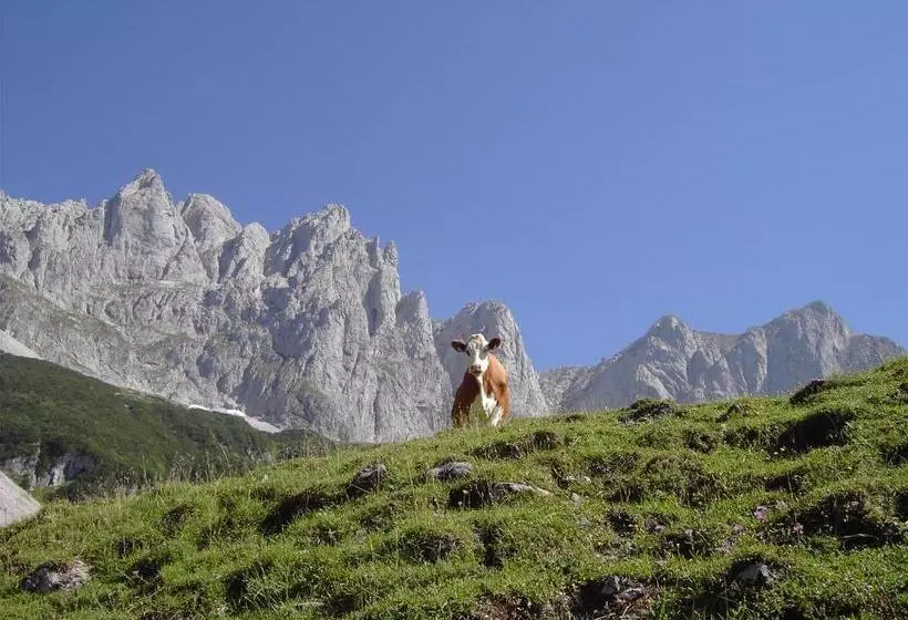 Alpenappartement Europa