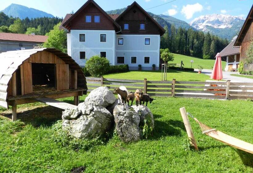 Baby Und Kinderbauernhof Riegler