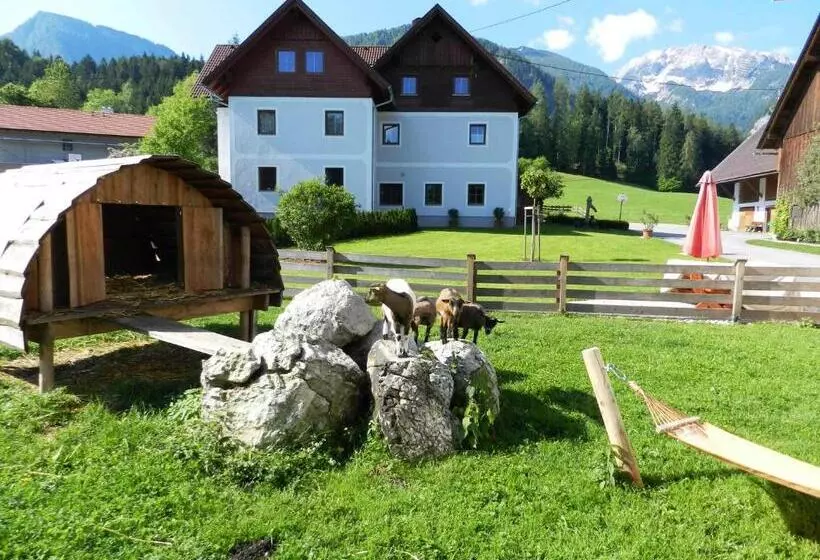 Baby Und Kinderbauernhof Riegler