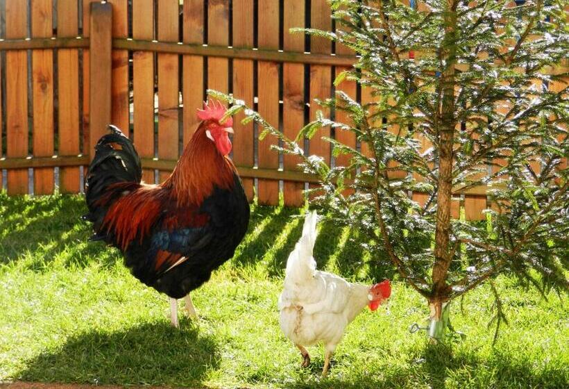 Baby Und Kinderbauernhof Riegler