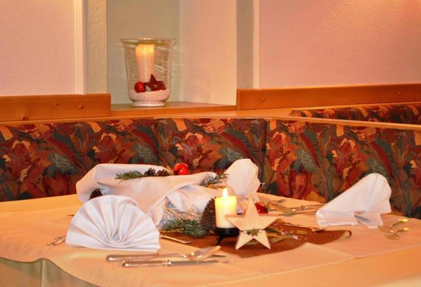 مبيت وإفطار Pension Haid