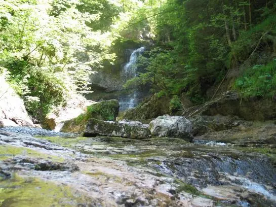 בית מלון כפרי Das Hintersee