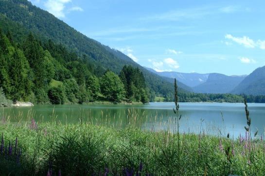 Отель Das Hintersee