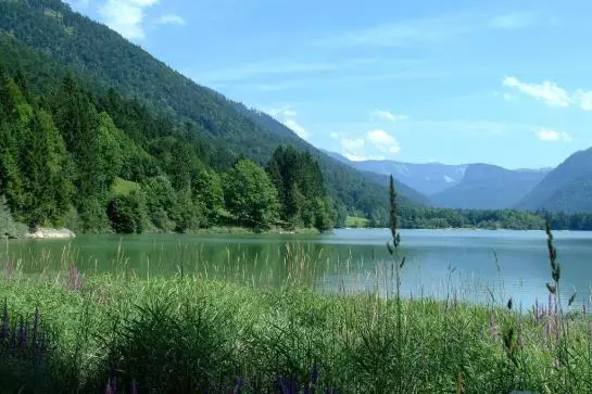 בית מלון כפרי Das Hintersee