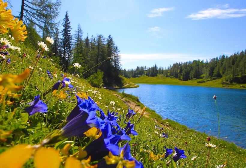 فندق Appartements Restaurant Schwaiger